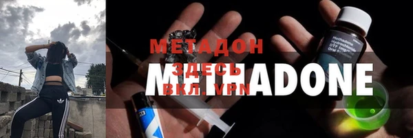 гидра Алексеевка