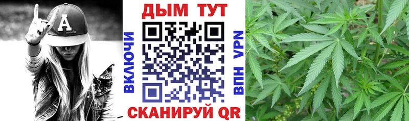 купить закладку  Арск  Каннабис сатива 